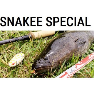 테일워크 스네이키 SP 가물치루어대 가물치대