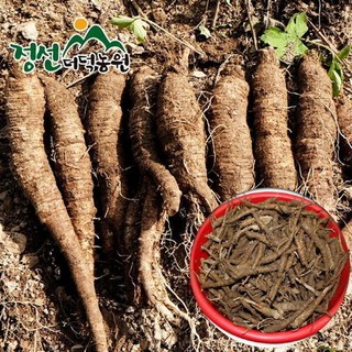 정선더덕농원 6년근 생더덕 1kg (소) 도라지/선물, 1개