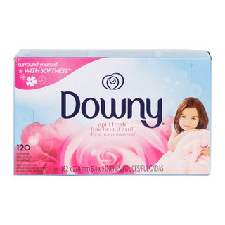 3. 다우니 드라이시..