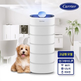 1. 캐리어 1등급 ..