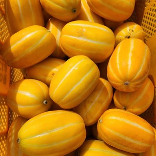 달코미성주참외 가정용혼합과, 5kg, 1개