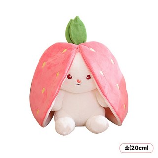 크앤비 딸기 토끼 당근 토끼