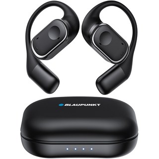 2. 블라우풍트 AA..