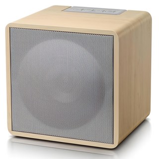 브리츠 BZ-T6530 FM라디오 블루투스 스피커