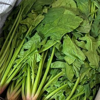 파머스마일 국내산 영양채소 남해 시금치, 1개, 500g