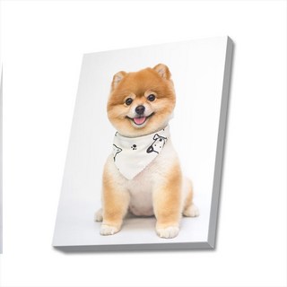 귀여운 강아지 사진 캔버스액자 (고객님 강아지 사진으로도 제작 가능합니다), DOG03