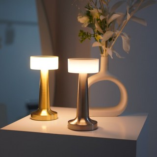 라이프아도너 T3 무선 LED 스틸 인테리어 캠핑 무드등 취침등 조명 단스탠드, SILVER, TYPE 1