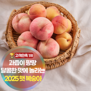 삼시세끼연구소 달콤함 터지는 햇 복숭아 신선 털복숭아, 1세트, 500g