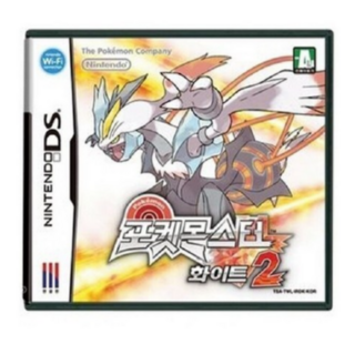 닌텐도 DS 포켓몬스터 화이트2로 문제 해결하기