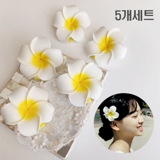 <추가쿠폰득템>/알로하플루메리아집게핀(5개세트)/안전한박스포장