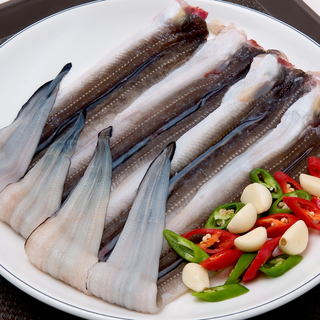 훈씨네 손질 특대 바다장어 1kg(2~3미) 소스 2팩 증정, 1개, 1kg x