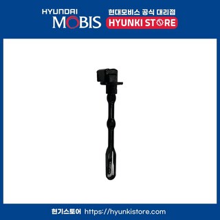 써미스터 (97143C5000) 주요 특징