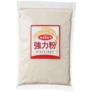 oKr(spoH 일본직구 구마모토현에서 제너레이트 스트롱 밀가루 2 x 500g 1월 495077700794, 사이즈, 2개