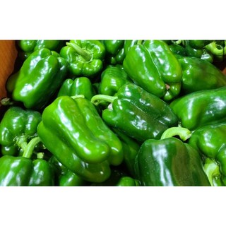 못난이 피망 청피망 파프리카 3KG 5KG 10KG [원산지:국산], 못난이(상)3KG, 1개
