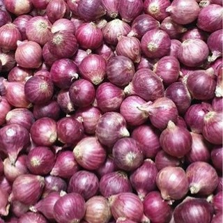 샬롯 (Shallot) 보라샬롯, 4 kg, 1개