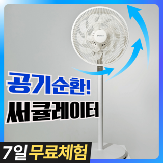5. 다미에어 12인..