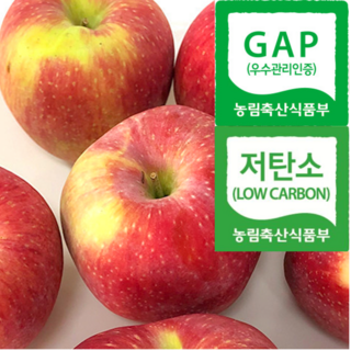 [고급백화점납품] 정품 농약안심 껍질째먹는 홍로, 1박스, 3kg(중과)