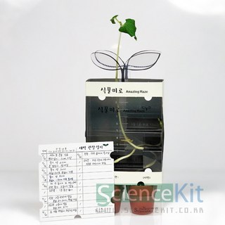(1인)식물미로 만들기 RKT