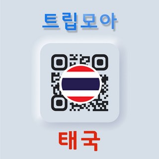 태국 eSIM 당일발송 통화 핫스팟 방콕 푸켓 말레이시아 여행, D.동남아8개국_3GB이후 저속, 동남아8개국 05일_3GB이후 저속, QR코드 수신할 이메일을 배송메세지에 입력, 1개