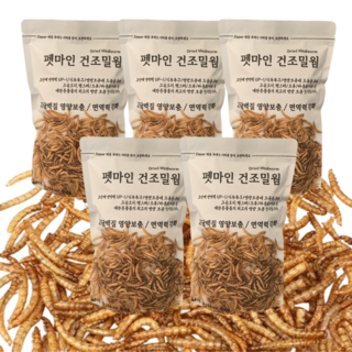 펫마인 건조 밀웜 햄스터 고슴도치 도마뱀 앵무새 먹이 슈가글라이더 간식 소동물 사료, 5개, 500g