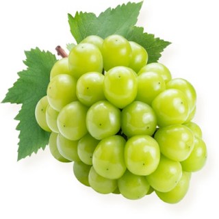 포도 샤인머스캣