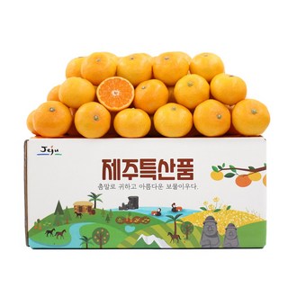 천하일품 서귀포 제철 감귤, 1개, 02.감귤 3kg 소과(2S)