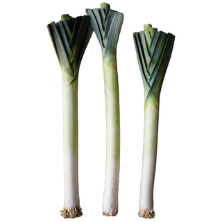 서양대파 릭 leek, 1박스, 1kg
