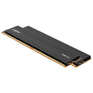 마이크론 Crucial DDR5-5600 CL46 PRO 패키지 대원씨티에스 (32GB(16Gx2)), 2개