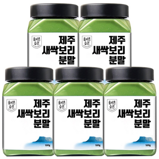 올바른습관 제주 무농약 새싹보리 분말, 새싹보리 분말 5개 (500g), 100g, 5개