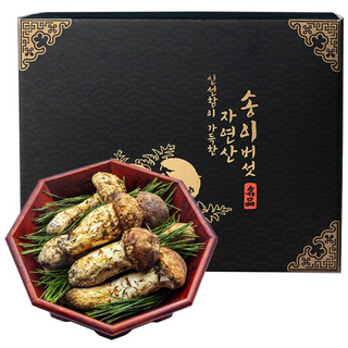 명품선물 송이버섯 자연산 생송이 친환경 송이 버섯1등급 2등급 500g 1kg 부모님선물 어른선물 추석 설 부모님 어르신 스승 선물세트, 1세트, 생송이 명품(9-12cm)1kg
