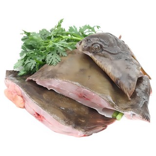 청정태안 자연산 봄도다리 1kg, 1kg(생물), 1개