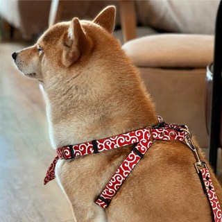 강아지 가슴줄 중소형견 하네스 시바견 산책줄 앞섬방지 반려견용품, 레드, 1개