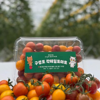 [구성포냥냥파머즈] 강원도 농장 직송 방울토마토 컬러방울토마토, 2개, 체리 1kg