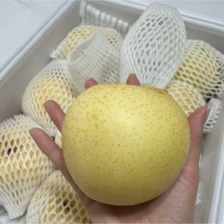 [산지직송] 10월 출하 중인 아삭아삭 달콤한 명품 황금배 아삭아삭한 과육 팡팡터지는 과즙 추석 설 선물로 딱 알맞은 가성비있는 명품배, 1박스, 3kg