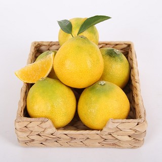 [산지직송] 제주 황금향 고당도 과즙가득 감귤, 1개, 혼합과 2kg 내외(7-15과)