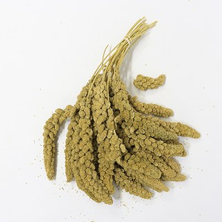 스프레이 밀렛 앵무새 간식, 1개, 500g