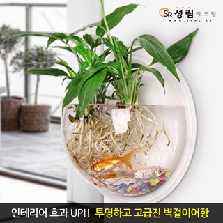 리비아쿠아 플라스틱 대형 수반 어항