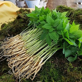 산골짜기농장 미니80뿌리(선물포장), (미니)80뿌리, 1박스