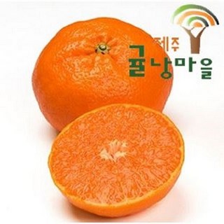 제주귤낭마을 레드향, 1박스, 가정용 10kg
