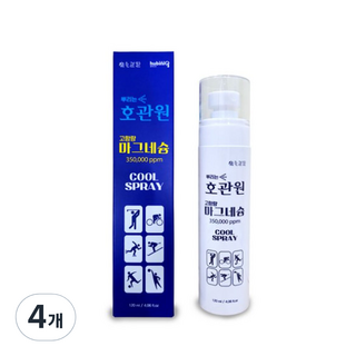 호관원 뿌리는 마그네슘 스프레이 120ml, 4개, 1개입