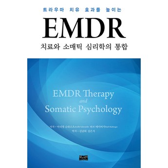 emide 정보-추천-상품