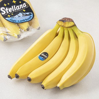 바나나경매-추천-상품