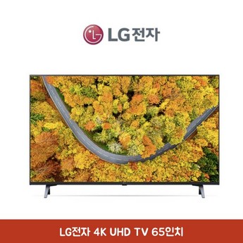 LG전자 4K UHD 65인치(165Cm) 스마트 TV 65UN7300-추천-상품