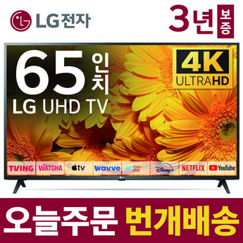 LG 65인치 4K UHD 스마트TV 65UQ8000-추천-상품