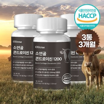 올리트루 콘드로이친 1200 맥스 700mg x 60정-추천-상품