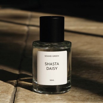 데이지향수면세점-추천-상품