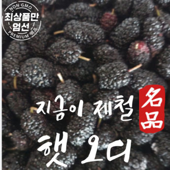 오디언트 ID4, 2024년 최고의 선택은? 7가지 모델 비교 분석 7 2024 최신 오디언트id4 추천 순위 BEST 7-추천-상품