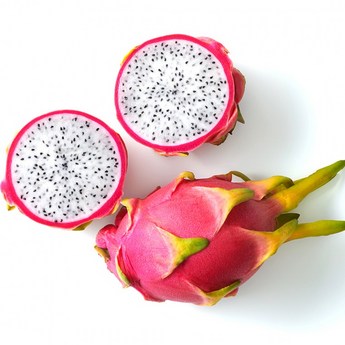 용과같이8-추천-상품