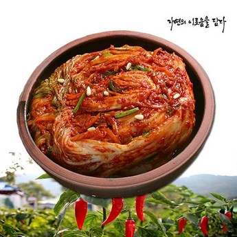 빛김치 전라도 감칠맛 좋은 수제 생김치 주문 매운 맛 포기김치 3kg-추천-상품