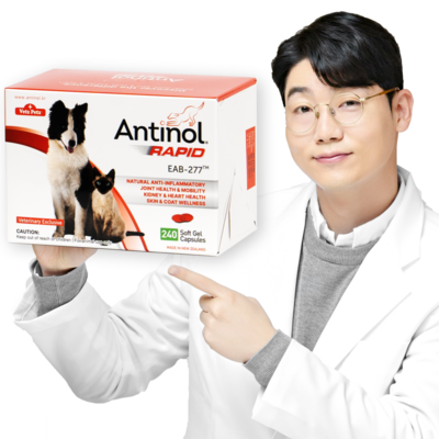 안티놀 래피드 240정, 단일수량_시간을 되돌려주는 마법